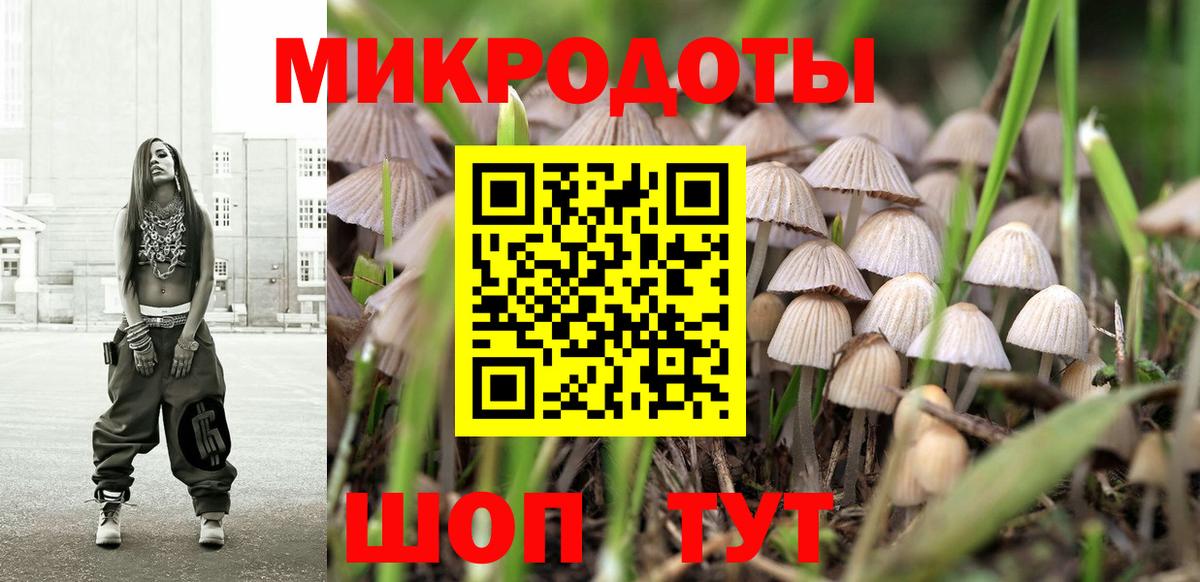 Псилоцибиновые грибы Cubensis Новочебоксарск