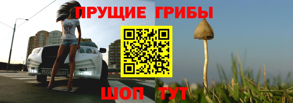 Новочебоксарск  Псилоцибиновые грибы GOLDEN TEACHER  Вход с VPN 
